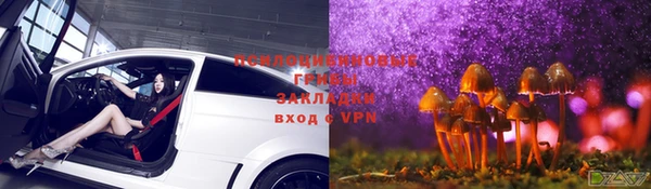 гидропоника Аркадак