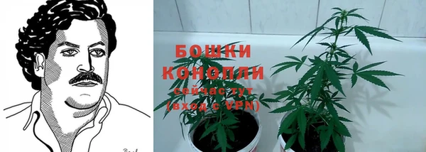 гидропоника Аркадак