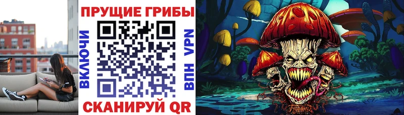 как найти   Карабаш  Галлюциногенные грибы мицелий 